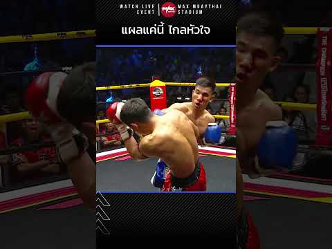 ต้องชำระ ให้ครบต้น ครบดอก #maxmuaythai #แม็กซ์มวยไทย #มวยไทย