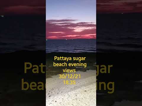 #shorts#pattaya beach#thailand#pattaya beach road