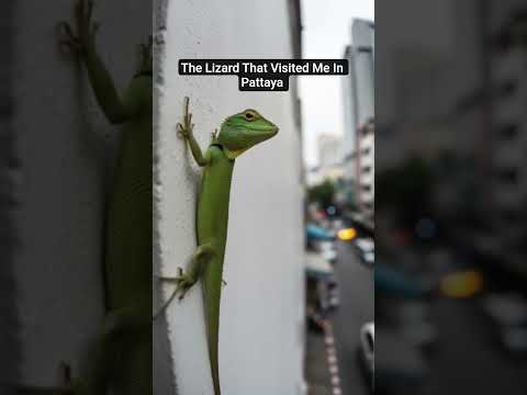 Thailand Must See Photos #thailand #travel #bangkok #pattaya